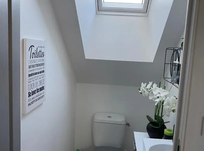 Au Calme A 20 Minutes A Pied Du Circuit Avec Garage Prive Le Mans